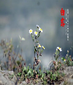 白露過(guò)后晝夜溫差明顯 秋天”謹(jǐn)防心病“偷襲”