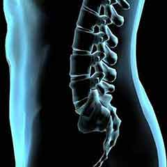 警惕！有這6種表現(xiàn)的人趕緊測骨密度！