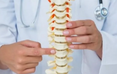 骨密度檢查和良好飲食習(xí)慣是骨骼“保護(hù)傘”