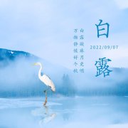 白露已至，節(jié)氣微涼