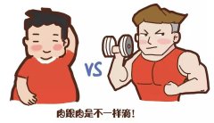 借助人體成分分析儀，開啟針對性身材管理之旅